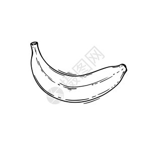 香蕉热带水果健康营养病媒说明图片