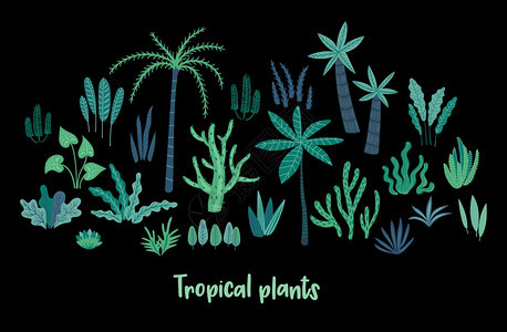 热带植物矢量设计元素背景图片