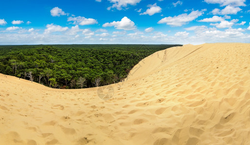 蒂拉丘地皮拉特丘dunepyla欧洲archon湾quitanefrc亚特兰地海洋中最高的沙丘背景