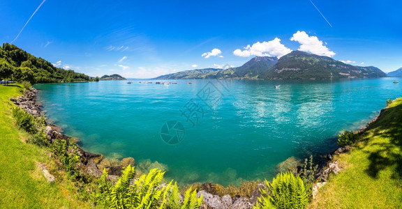 在一个美丽的夏日里苏纳西湖的全景图片