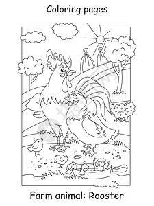 带两只公鸡和一群小鸡仔漫画轮廓插图用于学龄前教育儿童图片