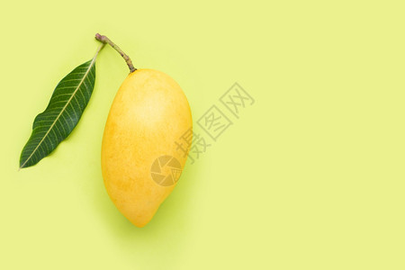 绿色背景的黄芒果热带实多汁和甜美图片