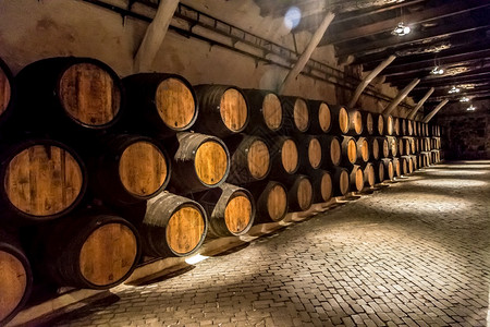 葡萄酒酒窖里的桶子在波尔图里库格背景