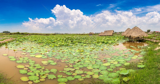 夏日Cambodi的夏日图片