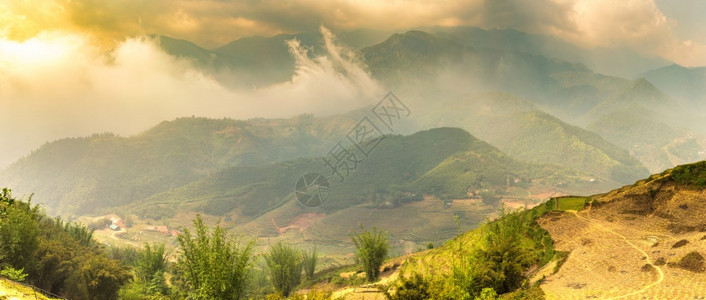 夏季日萨帕拉罗卡伊比特南的梯田图片