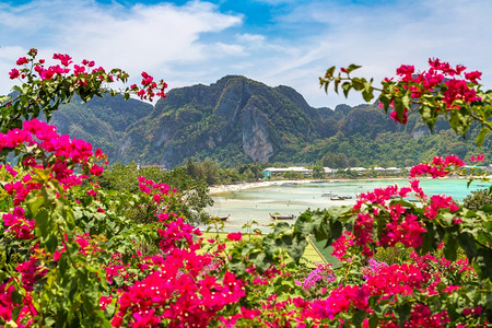 大学教师夏日在泰国的菲登岛泛天空中观察背景