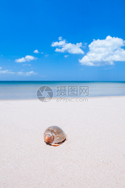 热带岛屿海滩上美丽的贝壳蓝色天空和夏云海滩度假目的地图片