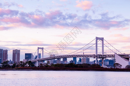 晚上日落时奥代伊巴彩虹桥和东京湾风景城市在粉红天空下以背景起伏图片