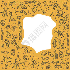 细菌胞框架横幅微生物收集矢量涂鸦风格成分背景图片
