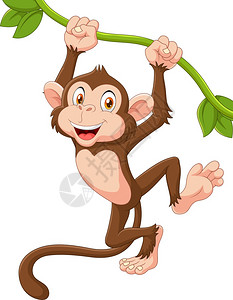 藤叶挂在葡萄树上的可爱猴子插画