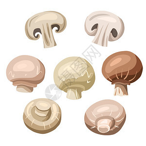 蘑菇矢量卡通元素图片