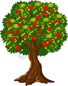 苹果树上挂满了红苹果图片