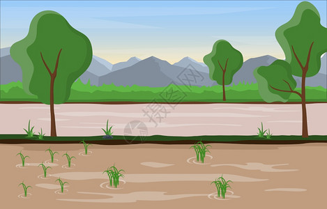 蟹田大米种植田农业景观图插画