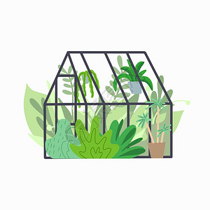 家居温室玻璃的各种植物图片