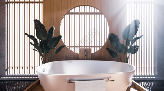 浴缸在日本室有一个侧池设计室宽敞光亮的天然音调图片