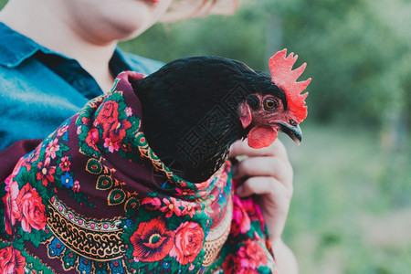 乡村风格微笑的女孩手里握着一只鸡图片