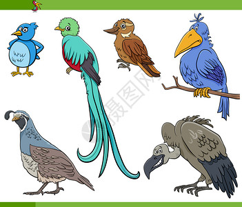 卡通可爱鸟类动物图片