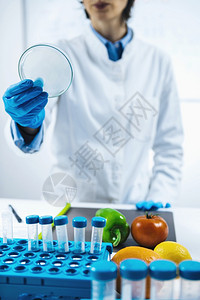 微生物实验室的食品质量评估在工作场所的微生物学家用样品检查花生盘和样本微生物实验室的食品质量评估图片