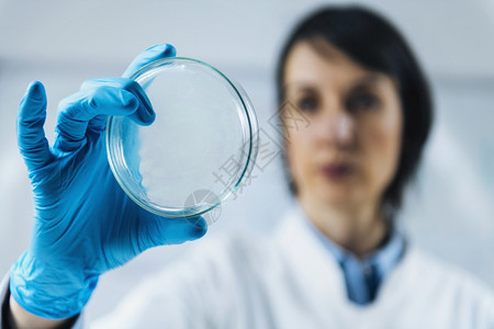 微生物实验室的食品质量评估在工作场所的微生物学家用样品检查花生盘和样本微生物实验室的食品质量评估图片