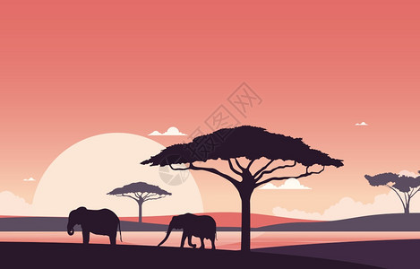 非洲野生动物剪影图片