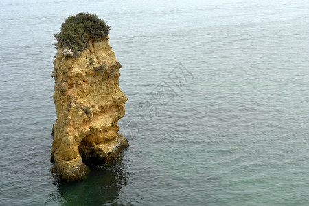 大岩石有植物在海洋中图片