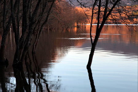 西班牙以北日落时秋水在湖边的洪图片