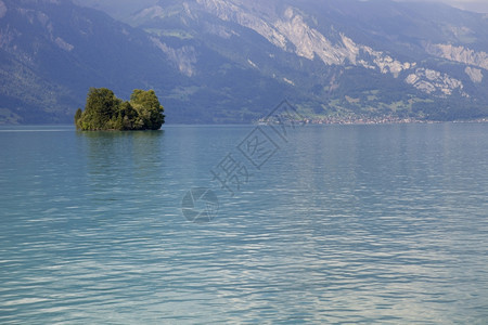湖中的小岛因特拉肯瑞士图片