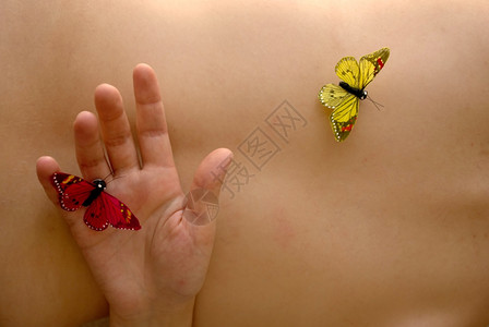 女人裸皮肤的假蝴蝶图片