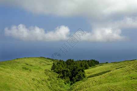 在SaoMiguel岛的沿海风景图片