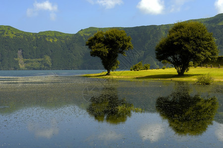 在Saomiguel岛Portugal岛图片