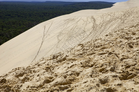 人们参观了著名的皮拉沙丘在pylasurmefance图片