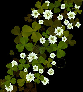 Clover背景StPatrick日的设计图片