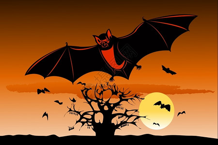 蝙蝠和日落设计图片
