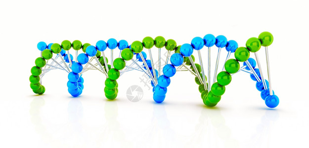 Dna3d使插图孤立于白色背景图片