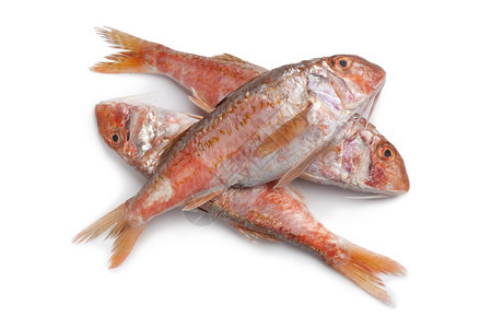 白色背景的新鲜红鱼图片