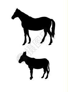 矢量马和驴环形背景图片