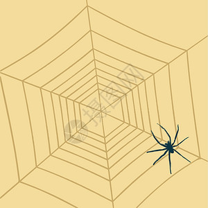 网络素描上的蜘蛛背景图片