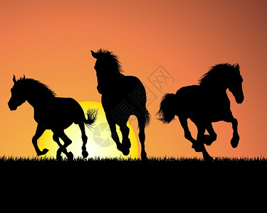 日落背景的马矢量插图背景图片
