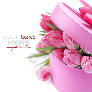白色背景的粉红郁金香和礼品盒带样本文图片