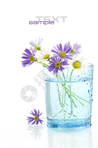 紫花蓝色瓶水滴白色背景图片