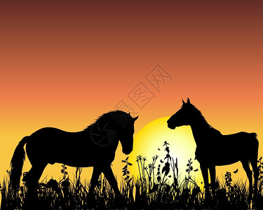 日落背景的马矢量插图背景图片