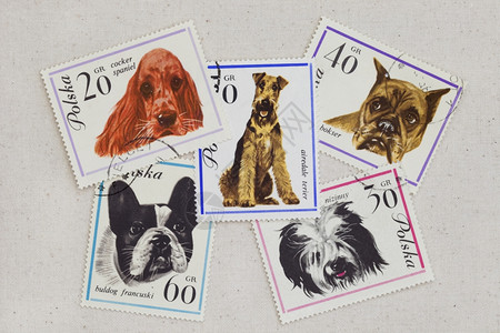 在取消的波兰邮票上随意贴在艺术家棉花画布上背景图片
