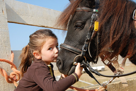 孩子马小女孩接吻和纯种雪特兰小马背景