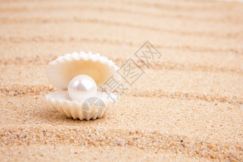 海滩珍珠从海中发出的财宝背景
