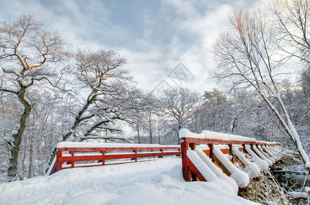 冬季森林日落大量积雪图片