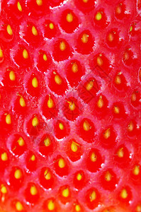 草莓纹理的宏图片