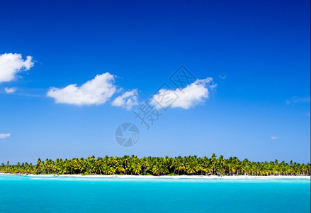 美丽的海滩和热带平面xA图片
