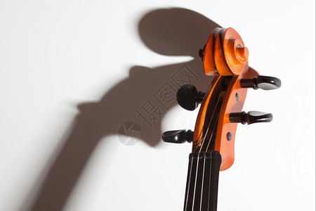 Violin软影子和复制空间的violin图片