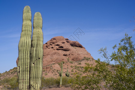 亚利桑那州荒漠红岩图片