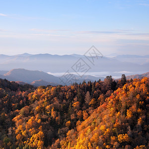 美国大烟山家公园Smoky山的日出高清图片